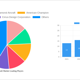 piston-aircraft-market-strategic-insights-analysis-2024-and-forecasts-2032