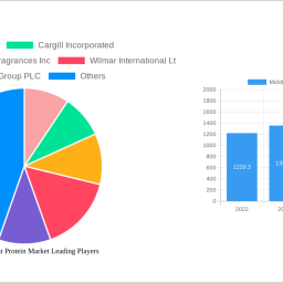 middle-east-plant-protein-market-decade-long-trends-analysis-and-forecast-2024-2032