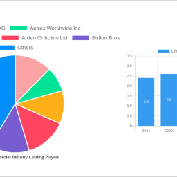 orthotic-foot-insoles-industry-soars-to-373-million-witnessing-a-cagr-of-690-during-the-forecast-period-2024-2032