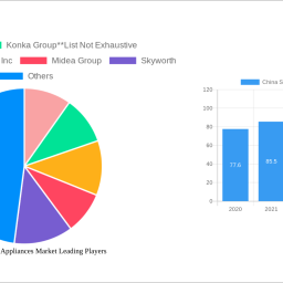china-small-home-appliances-market