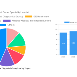 acute-ischemic-stroke-diagnosis-industry-2024-2032-analysis-trends-competitor-dynamics-and-growth-opportunities