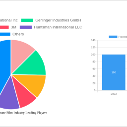 polyester-polyurethane-film-industry-strategic-roadmap-analysis-and-forecasts-2024-2032