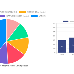 customer-experience-analytics-market-2024-2032-market-analysis-trends-dynamics-and-growth-opportunities