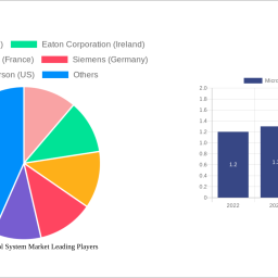 microgrid-control-system-market-strategic-roadmap-analysis-and-forecasts-2024-2032