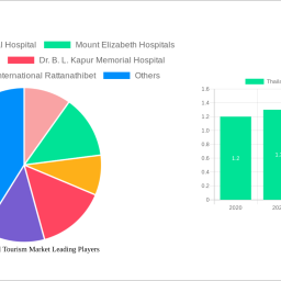 thailand-medical-tourism-market-unlocking-growth-potential-analysis-and-forecasts-2024-2032