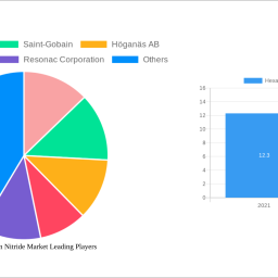 hexagonal-boron-nitride-market-2025-trends-and-forecasts-2033-analyzing-growth-opportunities