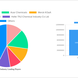dmapa-industry-strategic-roadmap-analysis-and-forecasts-2025-2033