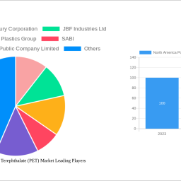 north-america-polyethylene-terephthalate-pet-market-future-proof-strategies-market-trends-2025-2033