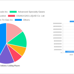 pure-gas-industry-2025-to-grow-at-600-600-cagr-with-xx-million-market-size-analysis-and-forecasts-2033