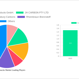 calcined-anthracite-market-unlocking-growth-opportunities-analysis-and-forecast-2025-2033