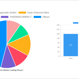 diamond-wire-market-strategic-roadmap-analysis-and-forecasts-2025-2033
