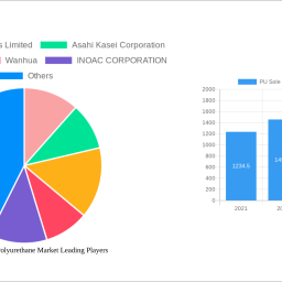 pu-sole-footwear-polyurethane-market-growth-opportunities-and-market-forecast-2025-2033-a-strategic-analysis