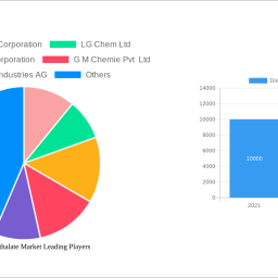 diisononyl-phthalate-market-2025-trends-and-forecasts-2033-analyzing-growth-opportunities