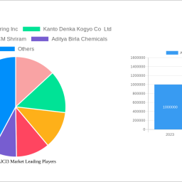 anhydrous-alcl3-market-navigating-dynamics-comprehensive-analysis-and-forecasts-2025-2033