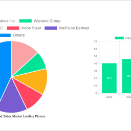 copper-pipes-and-tubes-market-unlocking-growth-potential-analysis-and-forecasts-2025-2033
