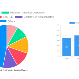 bio-based-succinic-acid-market-unlocking-growth-opportunities-analysis-and-forecast-2025-2033
