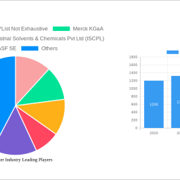 diethyl-ether-industry-future-proof-strategies-trends-competitor-dynamics-and-opportunities-2025-2033