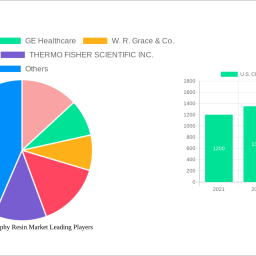 us-chromatography-resin-market-future-proof-strategies-market-trends-2025-2033
