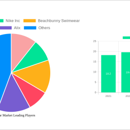 swimwear-market-report-probes-the-196-billion-size-share-growth-report-and-future-analysis-by-2033