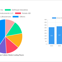 global-wedge-pressure-catheter-market-2025-2033-overview-trends-competitor-dynamics-and-opportunities