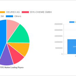 micronized-ptfe-market-2025-2033-analysis-trends-competitor-dynamics-and-growth-opportunities