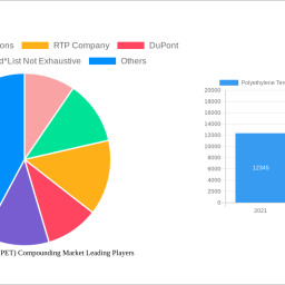 polyethylene-terephthalate-pet-compounding-market-2025-trends-and-forecasts-2033-analyzing-growth-opportunities