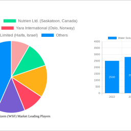 water-soluble-fertilizers-wsf-market-2025-trends-and-forecasts-2033-analyzing-growth-opportunities