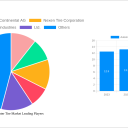automotive-winter-tire-market-charting-growth-trajectories-analysis-and-forecasts-2025-2033