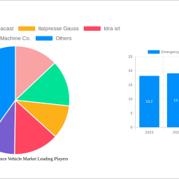emergency-ambulance-vehicle-market-strategic-insights-analysis-2025-and-forecasts-2033