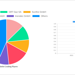 gas-market-is-set-to-reach-xx-million-by-2033-growing-at-a-cagr-of-5000-5000