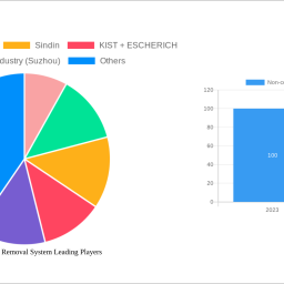 challenges-to-overcome-in-non-contact-dust-removal-system-market-growth-analysis-2025-2033