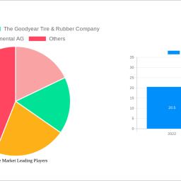 bias-tire-market-2025-2033-analysis-trends-competitor-dynamics-and-growth-opportunities