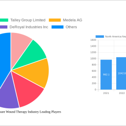north-america-negative-pressure-wound-therapy-industry-analysis-report-2025-market-to-grow-by-a-cagr-of-459-to-2033-driven-by