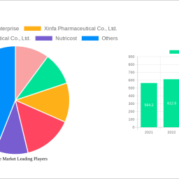 thiamine-market-2025-market-trends-and-2033-forecasts-exploring-growth-potential