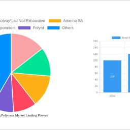 brazil-engineering-polymers-market-2025-2033-overview-trends-competitor-dynamics-and-opportunities