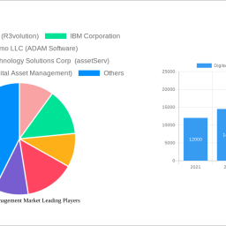 digital-asset-management-market-future-proof-strategies-market-trends-2025-2033