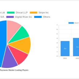 brazil-real-time-payments-market-unlocking-growth-opportunities-analysis-and-forecast-2025-2033