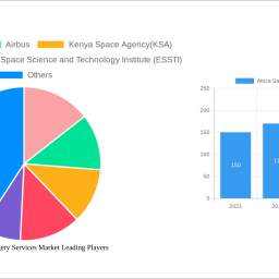 africa-satellite-imagery-services-market-strategic-roadmap-analysis-and-forecasts-2025-2033