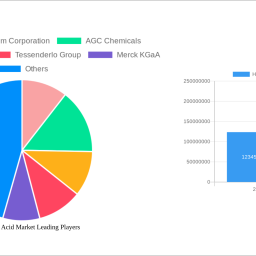 hydrochloric-acid-market-2025-2033-overview-trends-competitor-dynamics-and-opportunities