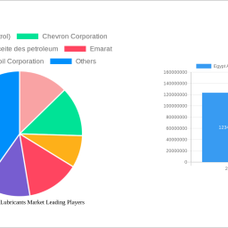 egypt-automotive-lubricants-market-2025-2033-trends-and-competitor-dynamics-unlocking-growth-opportunities