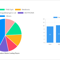 external-pacemakers-market-2025-2033-overview-trends-dynamics-and-growth-opportunities