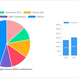 consumer-technical-support-services-market-analysis-2025-and-forecasts-2033-unveiling-growth-opportunities