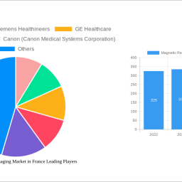 magnetic-resonance-imaging-market-in-france-strategic-market-roadmap-analysis-and-forecasts-2025-2033