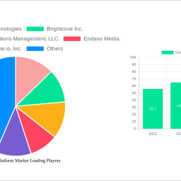 online-video-platform-market-unlocking-growth-potential-analysis-and-forecasts-2025-2033