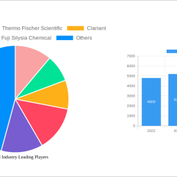 silica-gel-industry-future-proof-strategies-trends-competitor-dynamics-and-opportunities-2025-2033