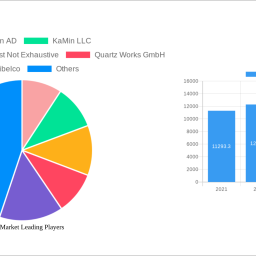 kaolin-market-strategic-roadmap-analysis-and-forecasts-2025-2033