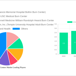 us-burn-care-centers-market-navigating-dynamics-comprehensive-analysis-and-forecasts-2025-2033