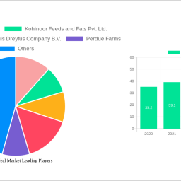 soybean-meal-market-insightful-analysis-trends-competitor-dynamics-and-opportunities-2025-2033