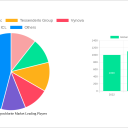 global-sodium-hypochlorite-market-2025-2033-trends-unveiling-growth-opportunities-and-competitor-dynamics