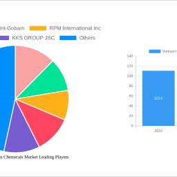 vietnam-construction-chemicals-market-charting-growth-trajectories-2025-2033-strategic-insights-and-forecasts